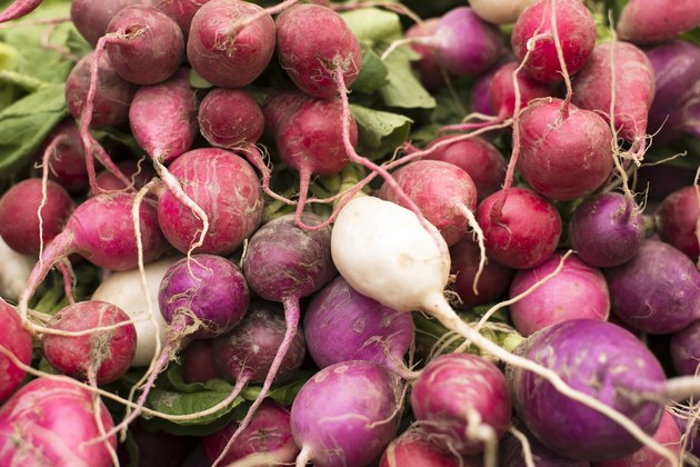 freshly harvested, organic radishes in colors