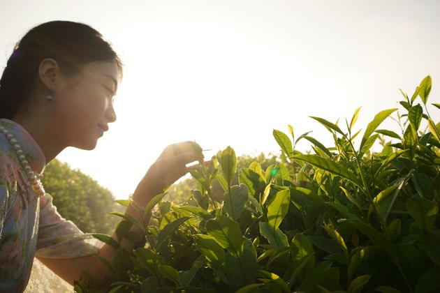 Young woman wearing a cheongsam in Chinese tea