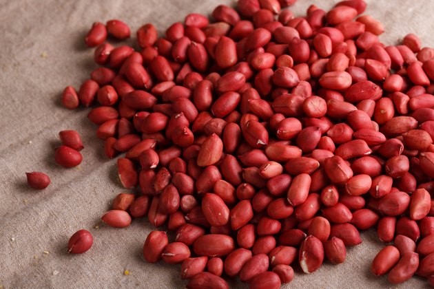 Close-up of peanuts
