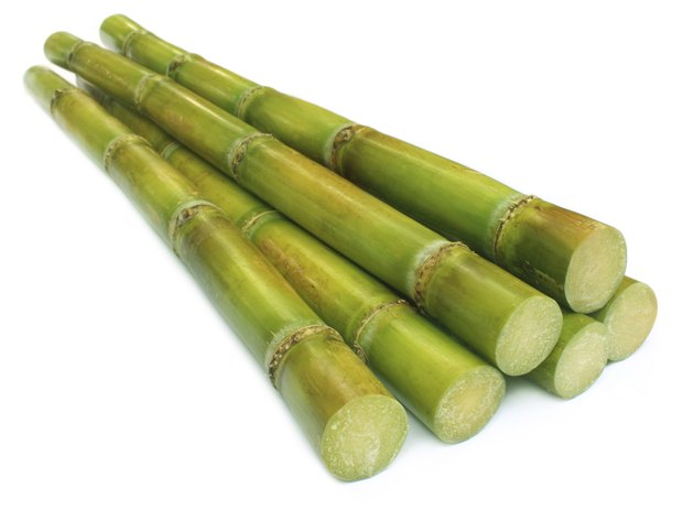 Bunch of fresh sugar cane