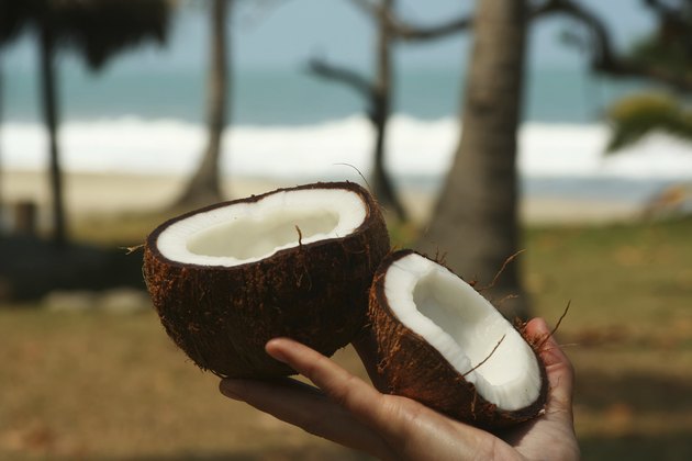 Coconut in hand