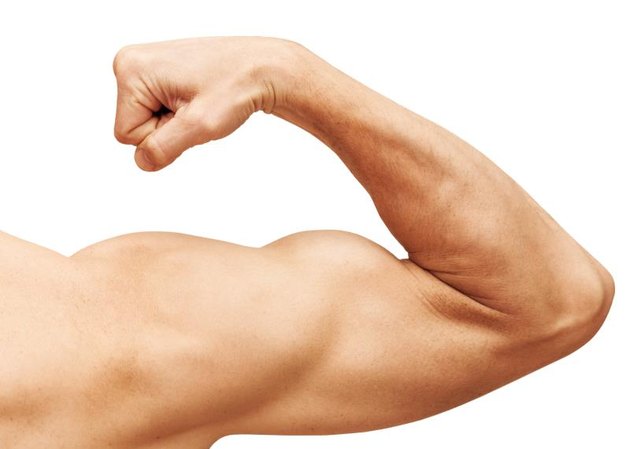 Strong male arm shows biceps. Close-up photo isolated on white