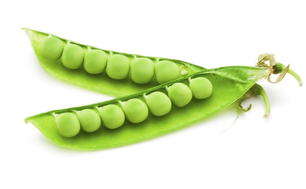 Pea