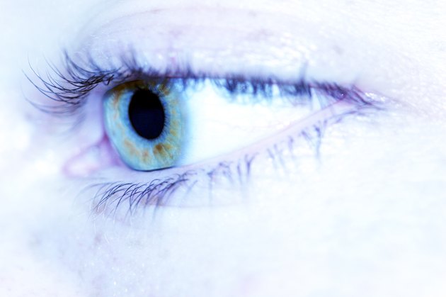 Iris (Blue Hue)