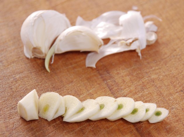 Garlic