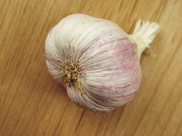 A pod of garlic