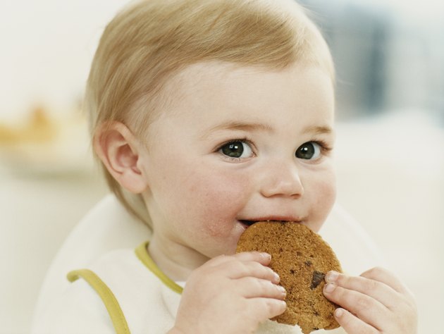Close Up of a Baby Boy Eating a Cookie