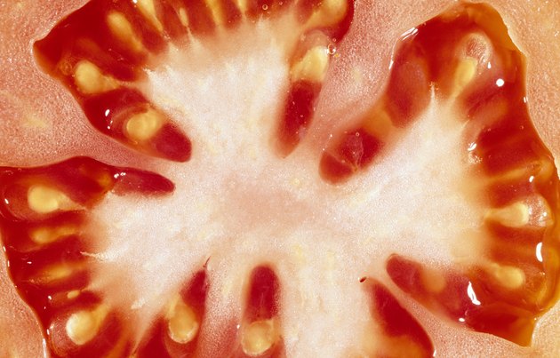 Tomato cross-section