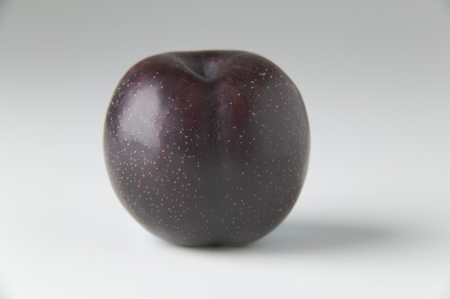 Purple plum