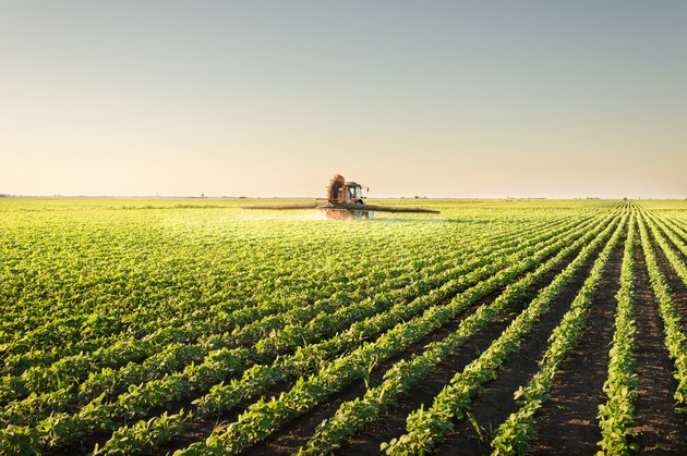 Tractor spraying pesticides