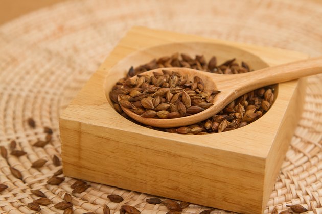 Closeup Barley tea in the wooden spoon