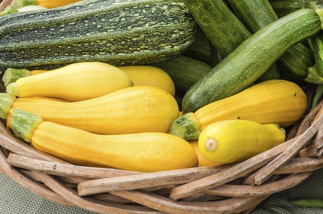 Yellow summer squash on display in baskets