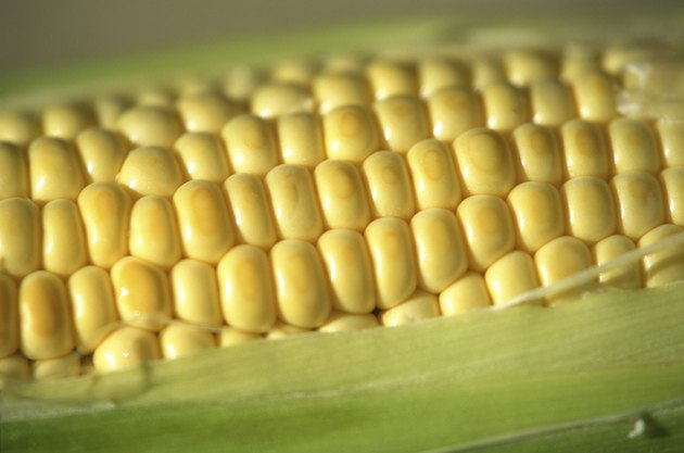Corn