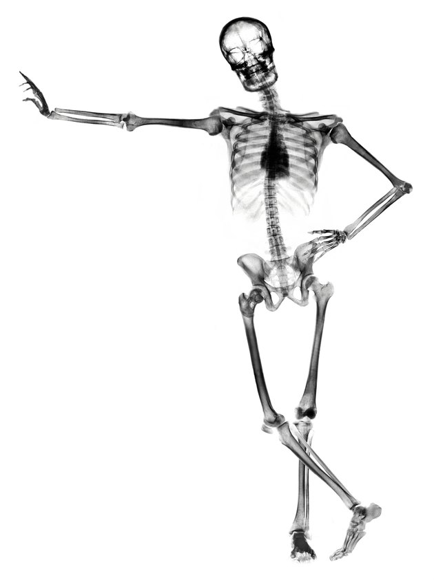 Leaning skeleton against white