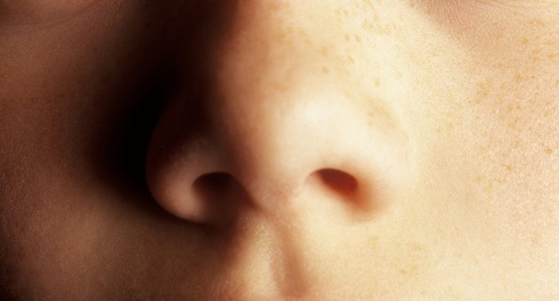 A nose