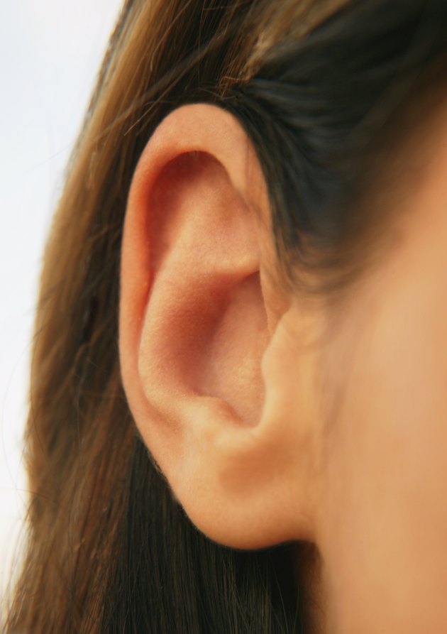 An ear