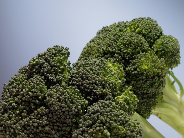 Close-up of broccoli