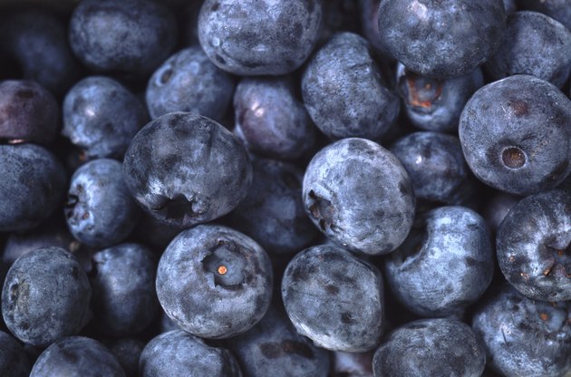 Fresh blueberries, full frame