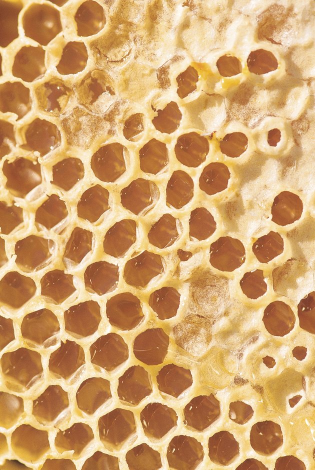 seasum honeycomb