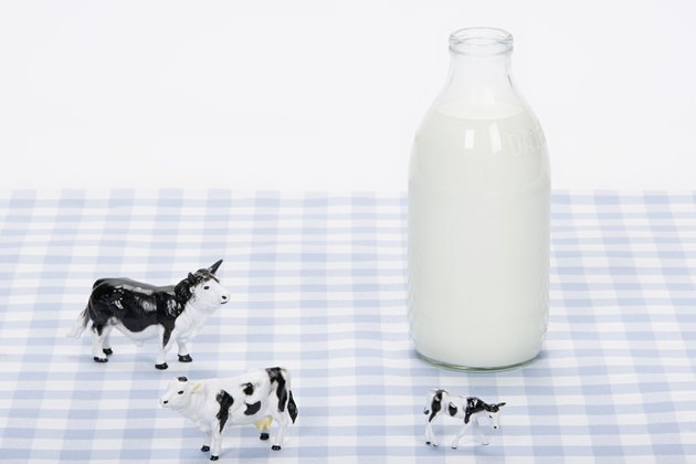 玩具奶牛和一瓶牛奶