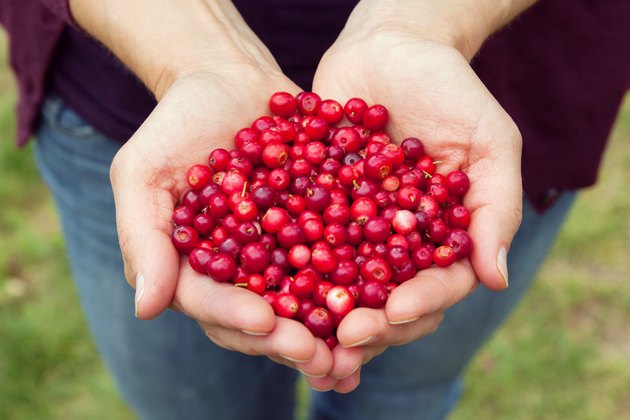 Woman hands full of berries