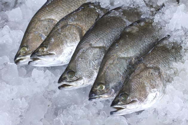 Fresh Seabass