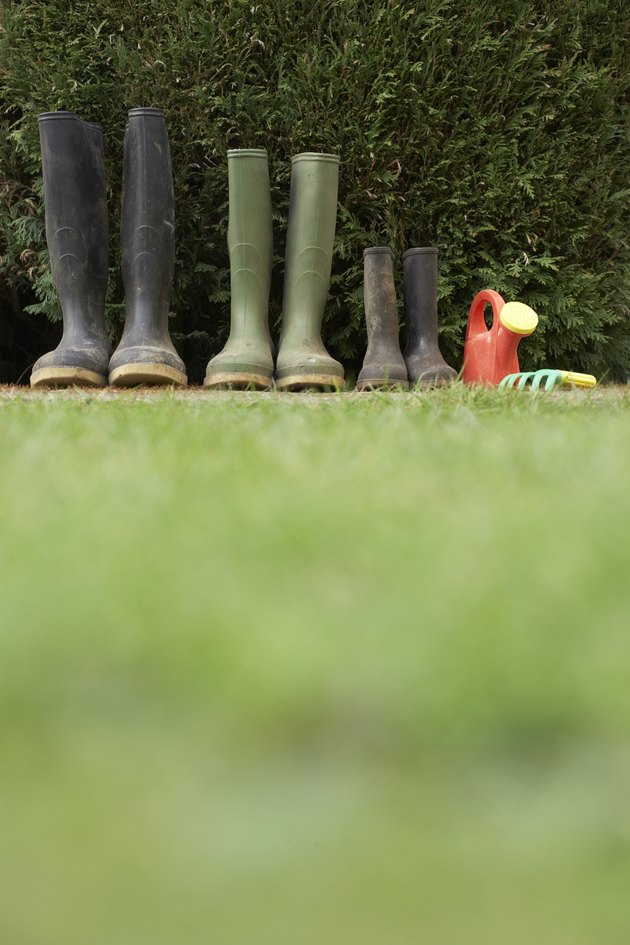 Row of galoshes by hedge, ground view