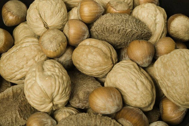 Mixed edible nuts in shells close-up