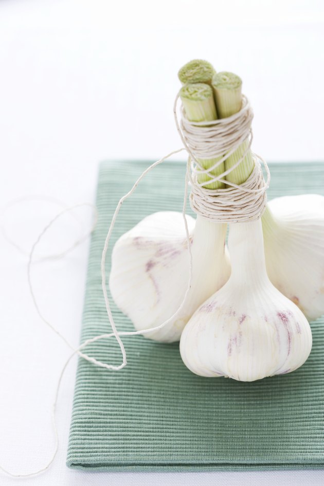 Three garlic sticks on green cloth, close-up