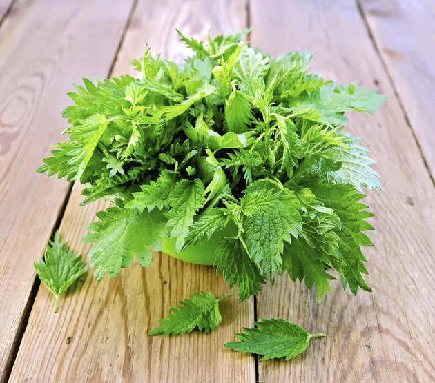 Nettles in a green bowl on board