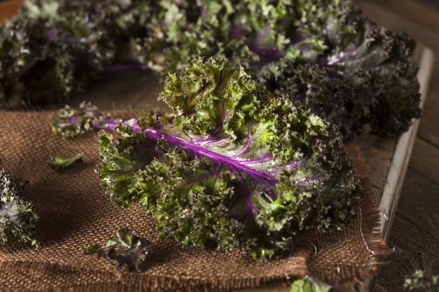 Organic Raw Red Kale on a Background