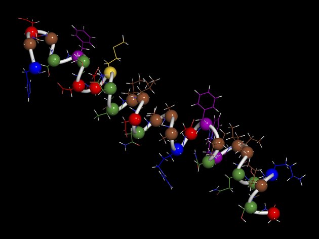 Glucagon-like peptide 2 (GLP-2) peptide molecule.
