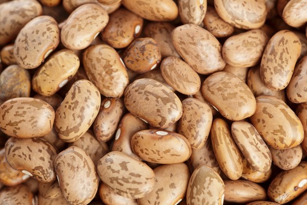 Organic Pinto Beans