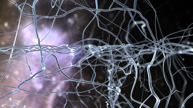 neuronet