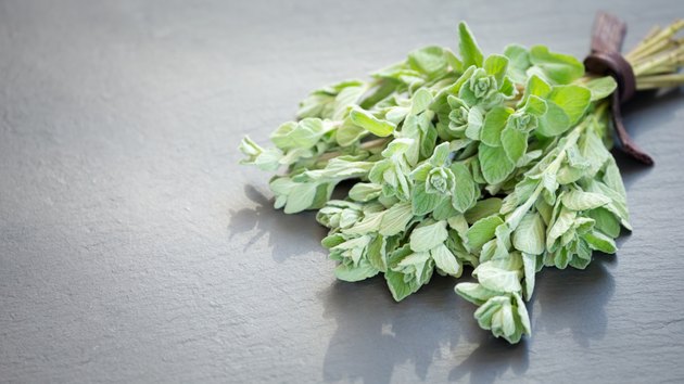 Fresh oregano on a dark stone background