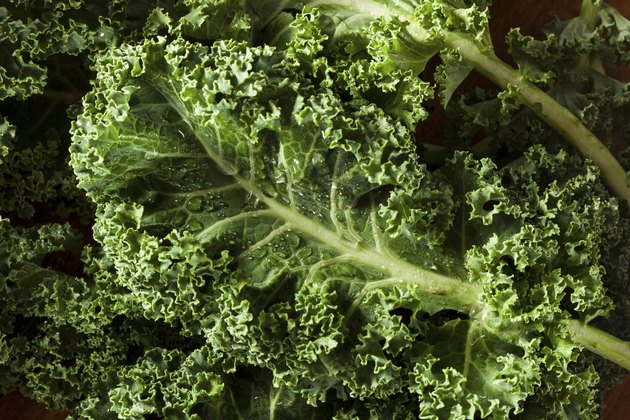 Healthy Raw Green Kale