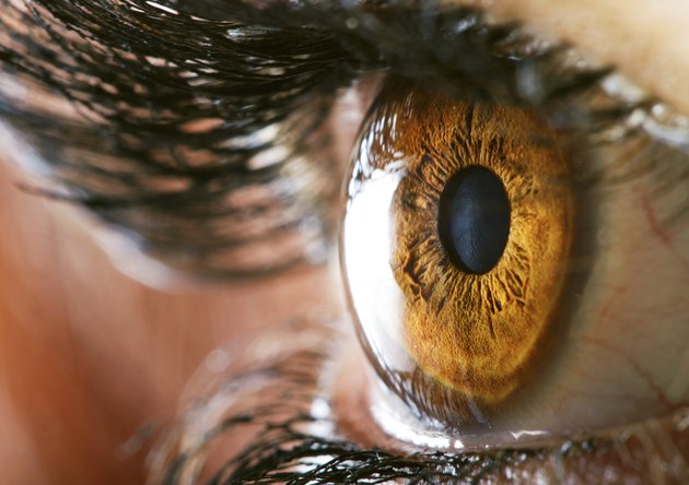 Human eye