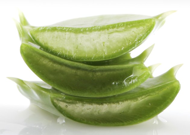 Aloe Vera