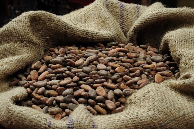 Cocoa beans in the bag