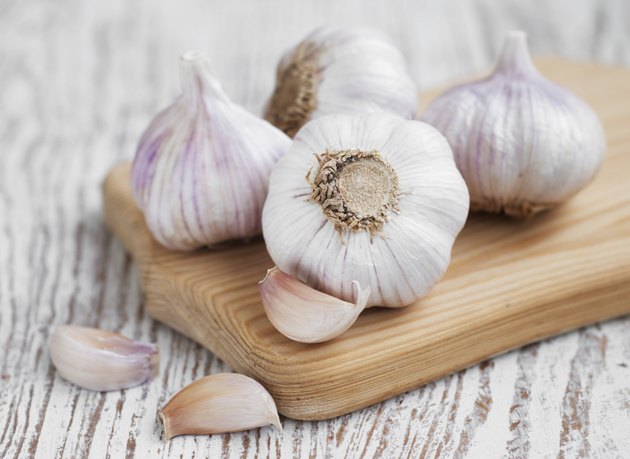 Garlic
