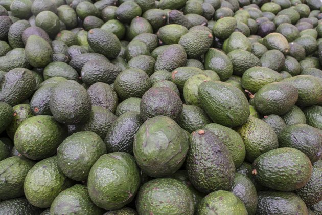 Group of Avocados
