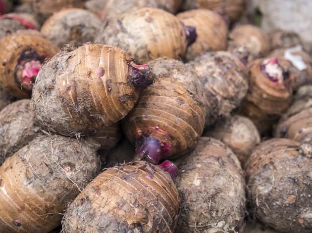 Taro, Asian vegetable