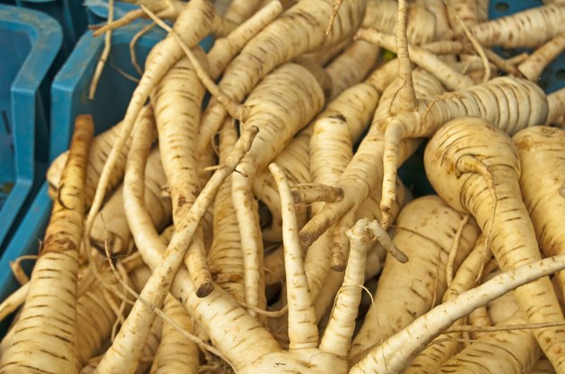 parsley root