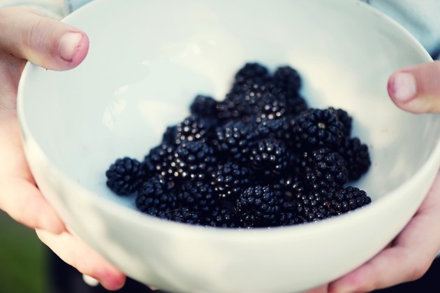 Bowl of Blackberries