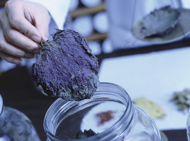 Scientist taking specimen from jar in laboratory, close-up