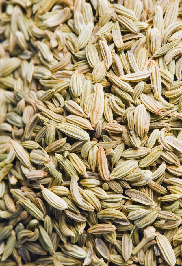 Close-up of Fennel seeds