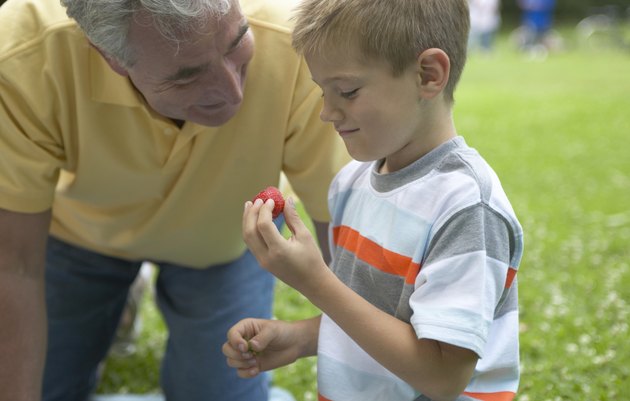男孩(6-8岁)和爷爷在户外，男孩抱着草莓