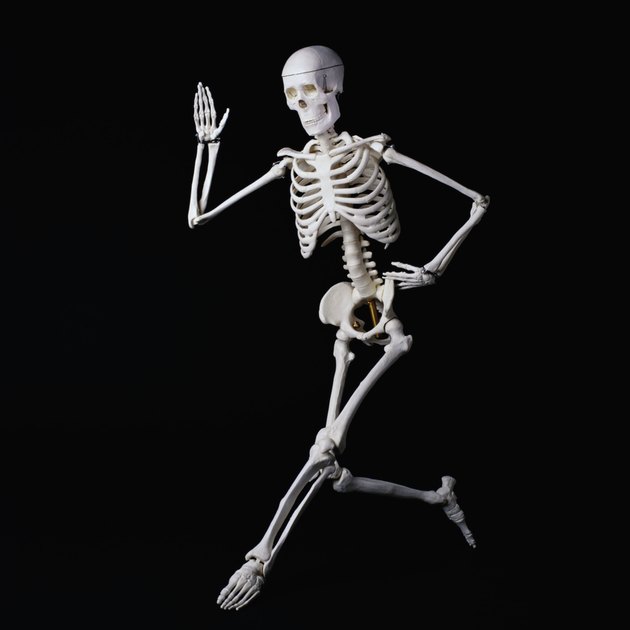 Dancing Skeleton