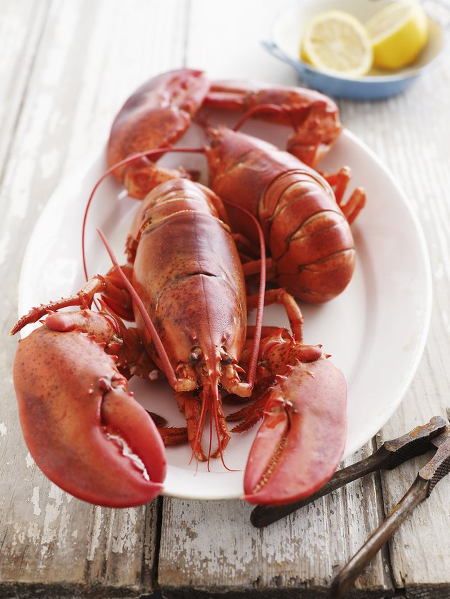 Whole Lobster