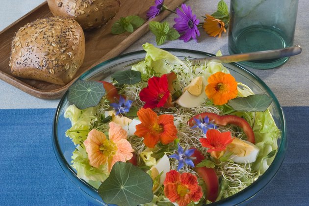 Summer lunch